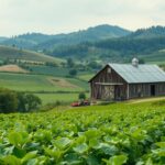 Strategi Efektif Mengoptimalkan Lahan Produktif di Indonesia